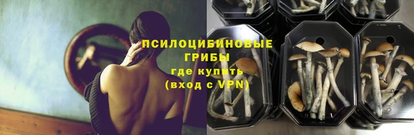 альфа пвп Вяземский